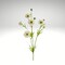 Real Touch Cream Ranunculus Spray – 28" Artificial Floral Stem-FL000474